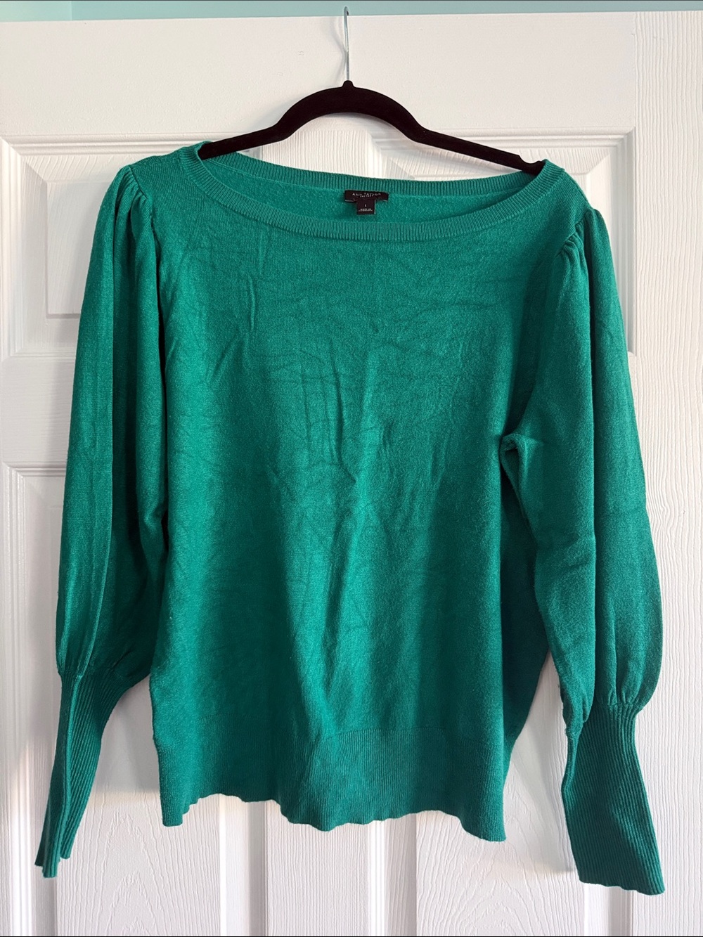 Ann Taylor Teal Green Scoop Neck Sweater